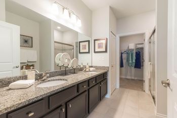 Large double vanity in bath